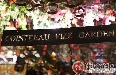 震驚！法國滿天星八尺夫人竟然被發(fā)現(xiàn)秘密身份