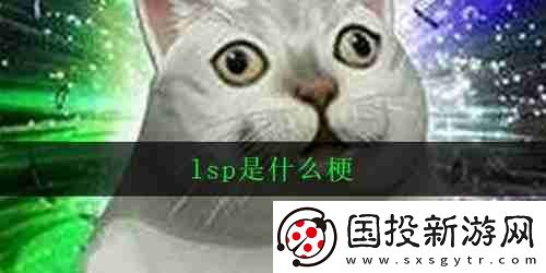 抖音lsp是什么梗