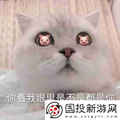 兜風(fēng)嗎妹妹表情包