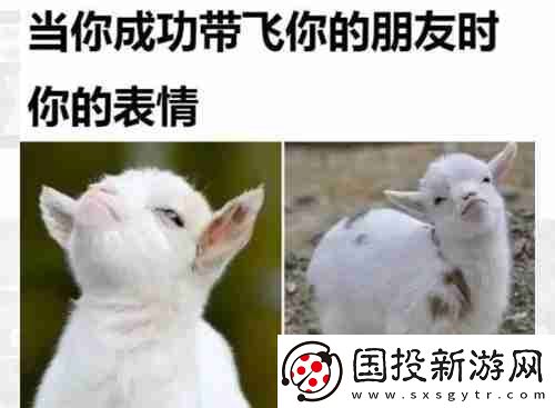 當(dāng)你成功帶飛你的朋友時表情包