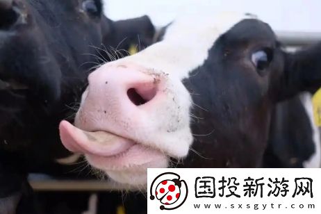 牛校出牛子是什么梗絡(luò)用語-牛校出牛子梗意思及出處分享