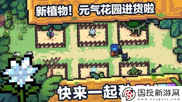 元氣騎士種子作用大全2023-元氣騎士最新種子圖鑒2023一覽