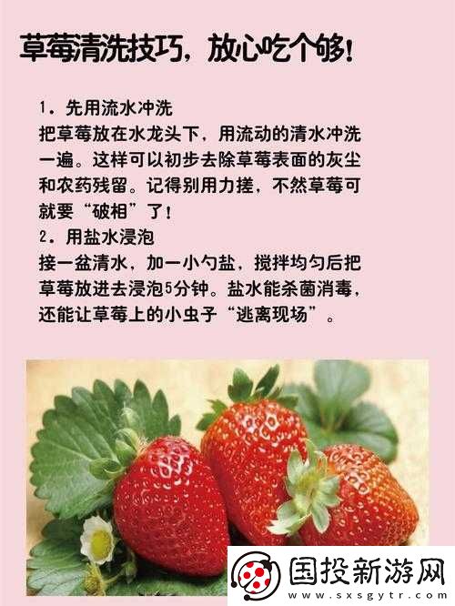 如何安全下載草莓黃版舊版本-詳細(xì)步驟與注意事項(xiàng)全解析