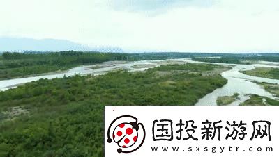 探索免費(fèi)X站的寶藏：發(fā)現(xiàn)無限可能