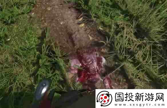 天國拯救2狼群中的羊任務怎么做