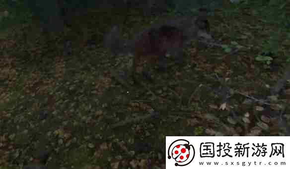 天國拯救2狼群中的羊任務怎么做