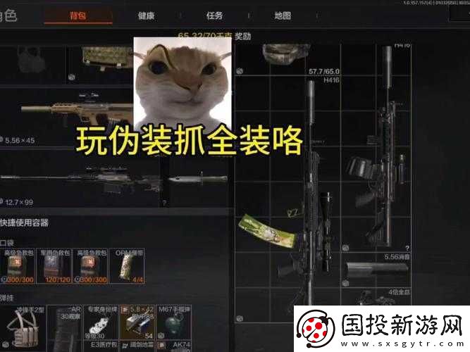 英雄戰(zhàn)歌中偽裝效果究竟如何-揭秘圖鑒在資源管理中的關(guān)鍵性及高效運用策略