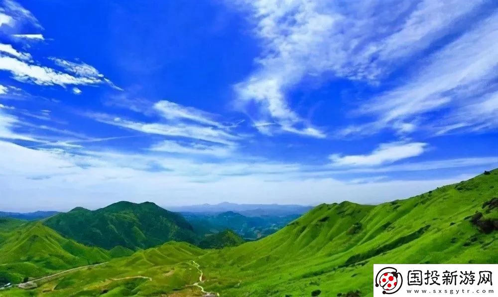 草草久：探索自然與時(shí)間的和諧之旅