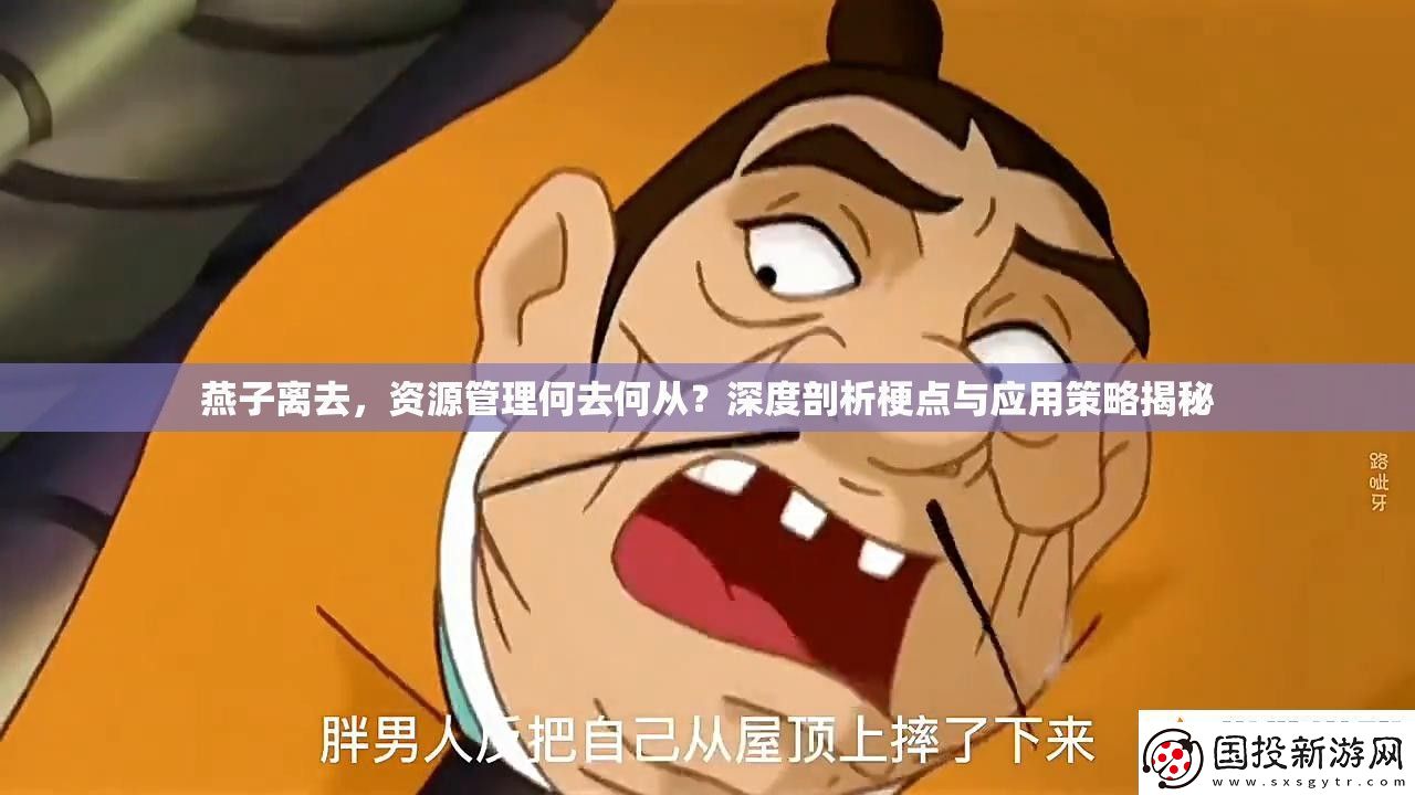 燕子離去資源管理何去何從深度剖析梗點(diǎn)與應(yīng)用策略揭秘