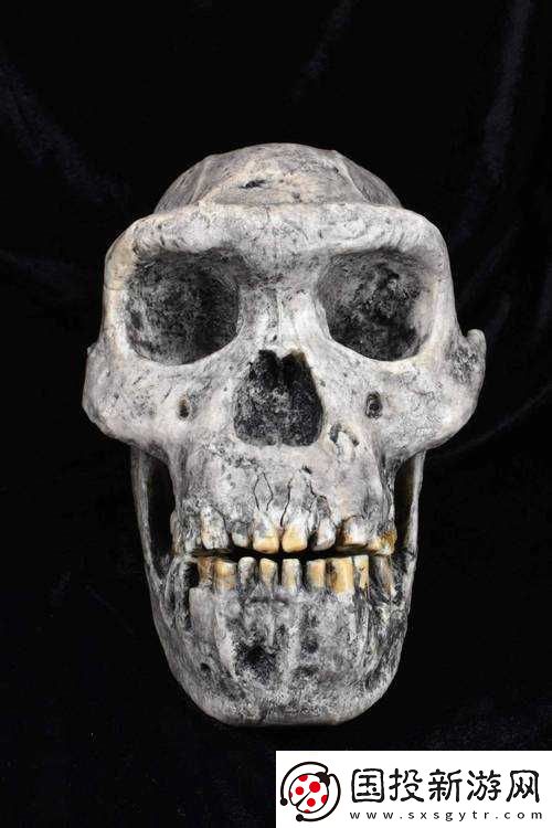 我的起源采集星燈木的注意要點(diǎn)你必須知道