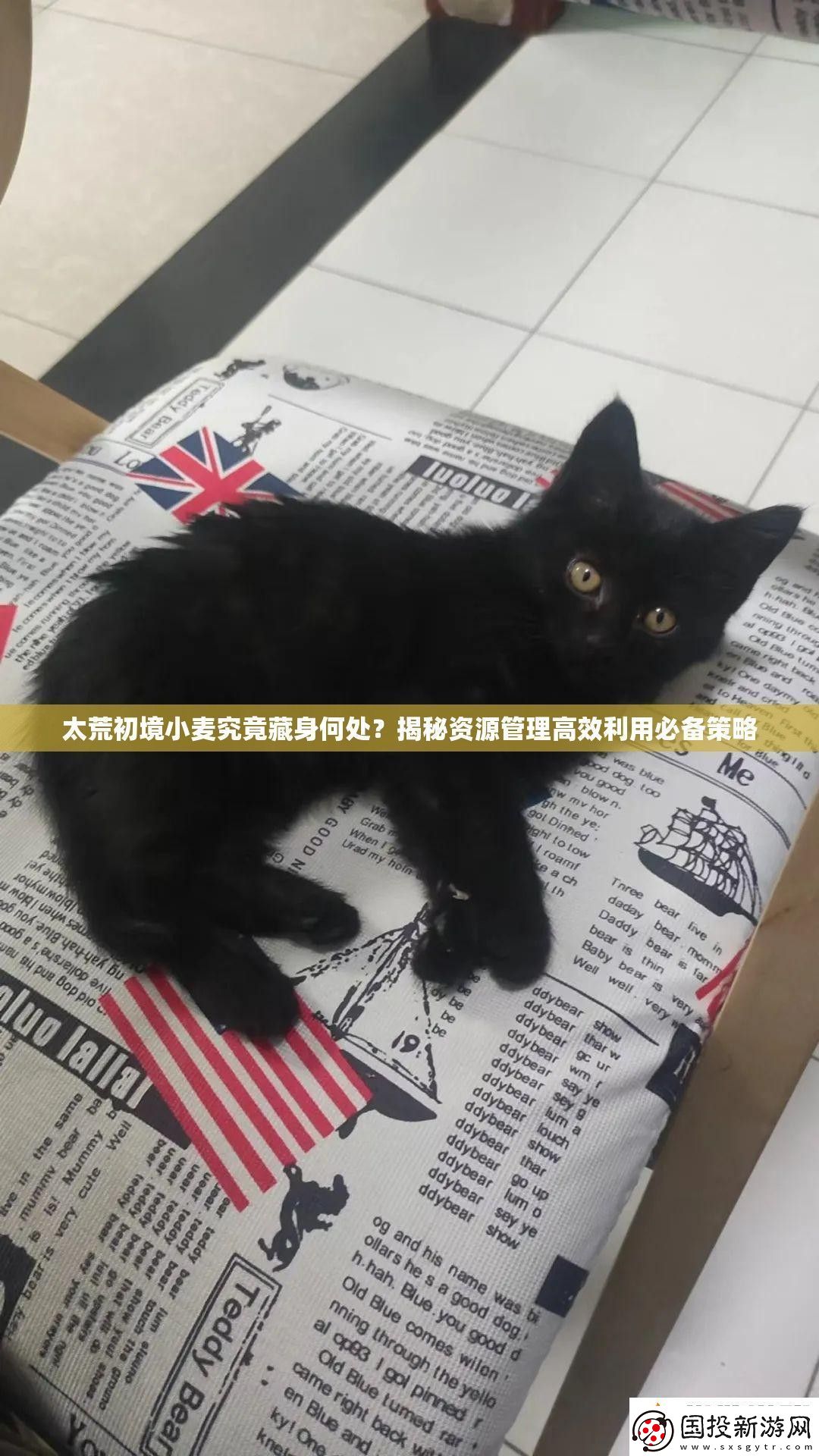 太荒初境小麥究竟藏身何處揭秘資源管理高效利用必備策略