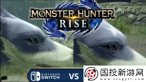 崛起為何沒有荒野熱門