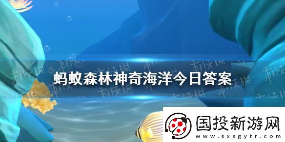海山通常是在海面以下還是海面以上-神奇海洋3月9日答案