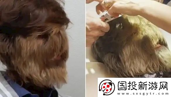 印度少年獲“最毛臉”吉尼斯紀錄