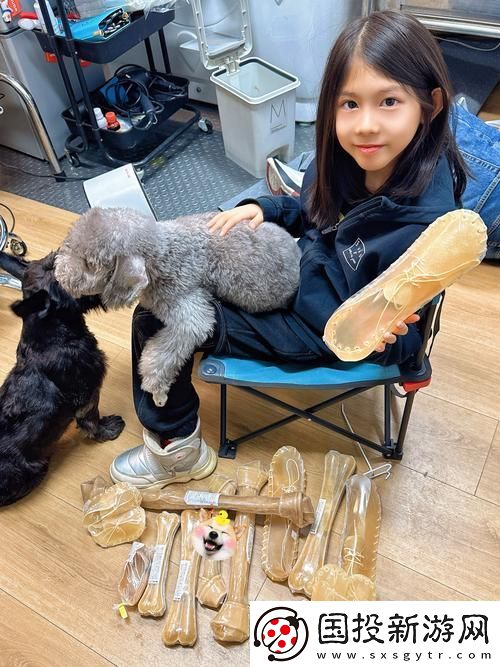 探索全面指南：狗膠配方大全高清揭秘柯林資訊