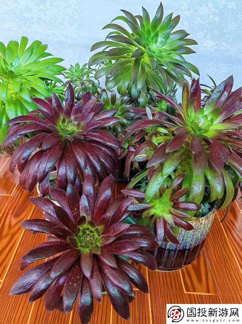 蛋國志中哪位法師最強勢-法師排行推薦揭曉懸念！