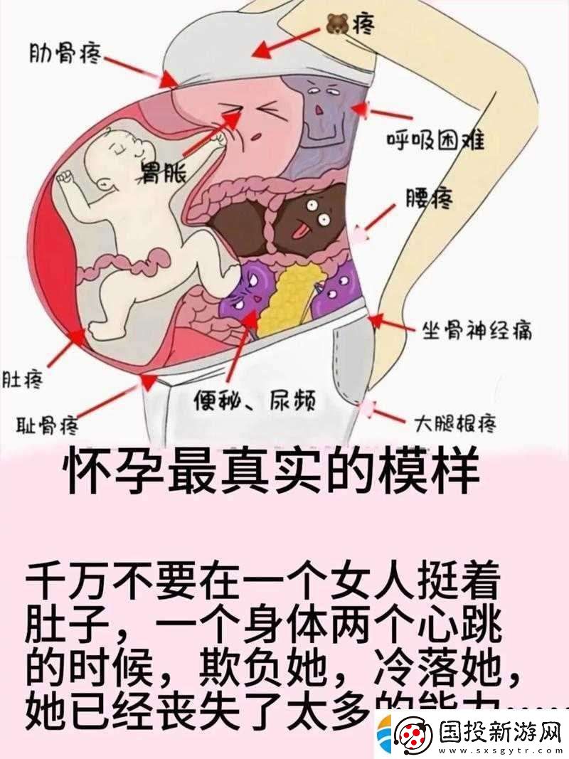 在WWW孕婦的世界里：探索女性身體的奧秘