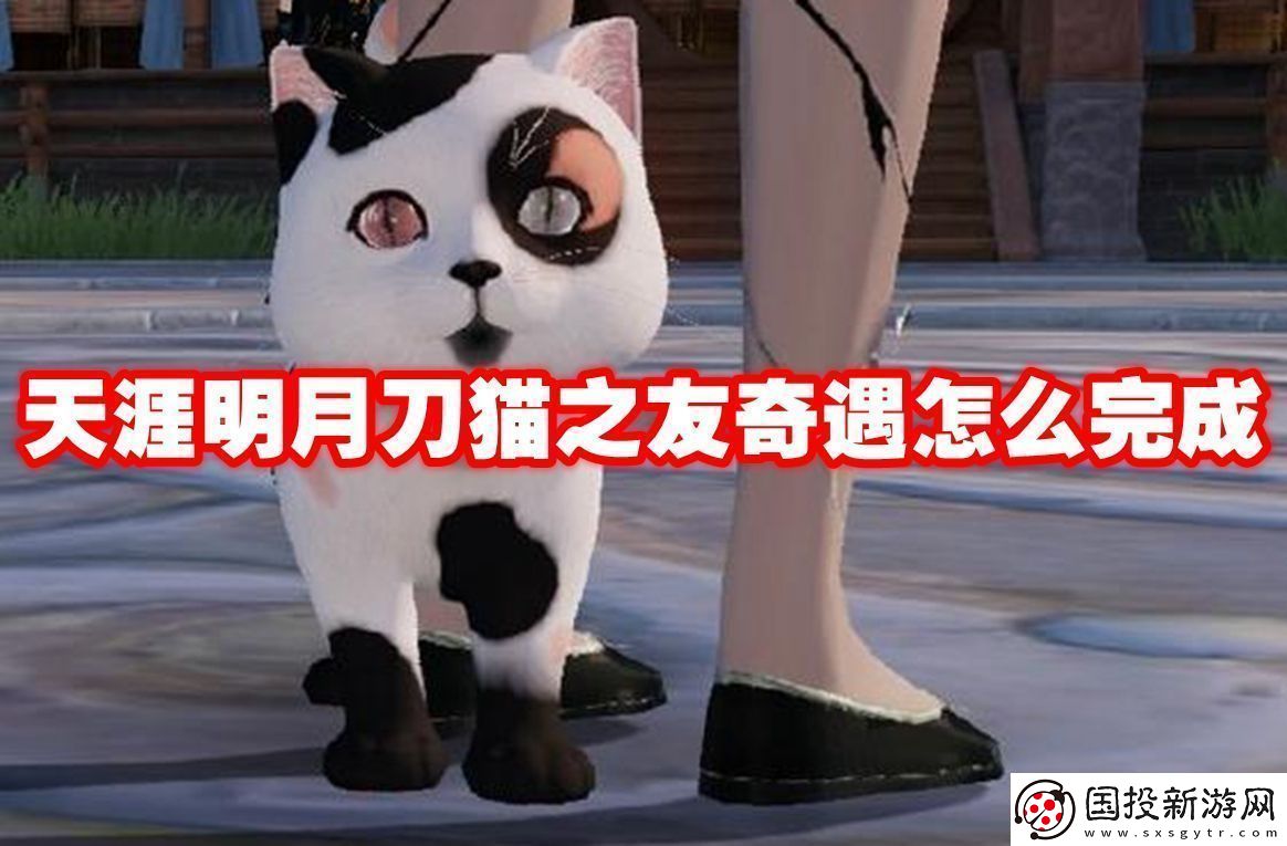 天涯明月刀貓之友奇遇怎么完成-天涯明月刀貓之友奇遇攻略流程