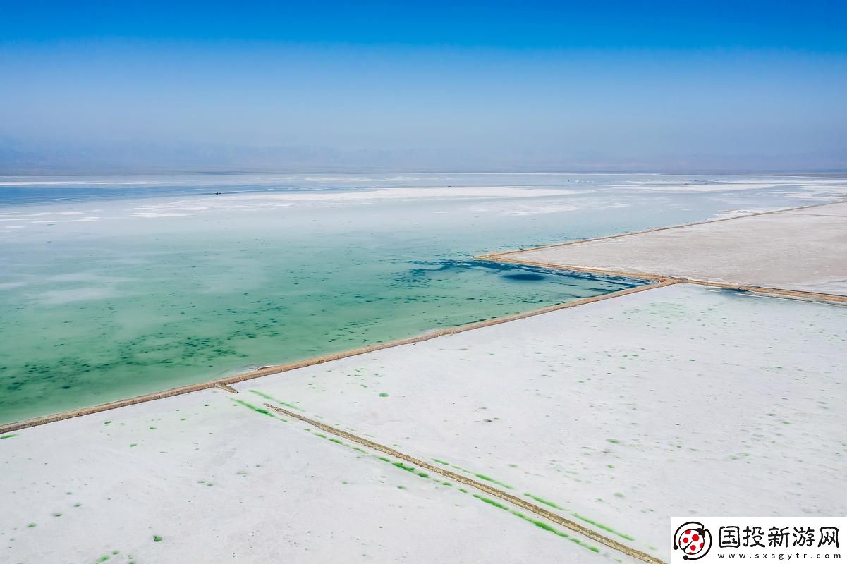 大地資源6免費不花錢-友：這是我見過最省心的平臺！