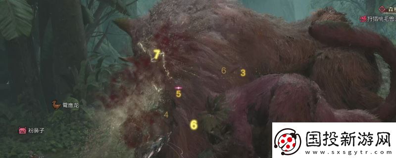 怪物獵人：荒野大世界狩獵聯(lián)機(jī)教程分享