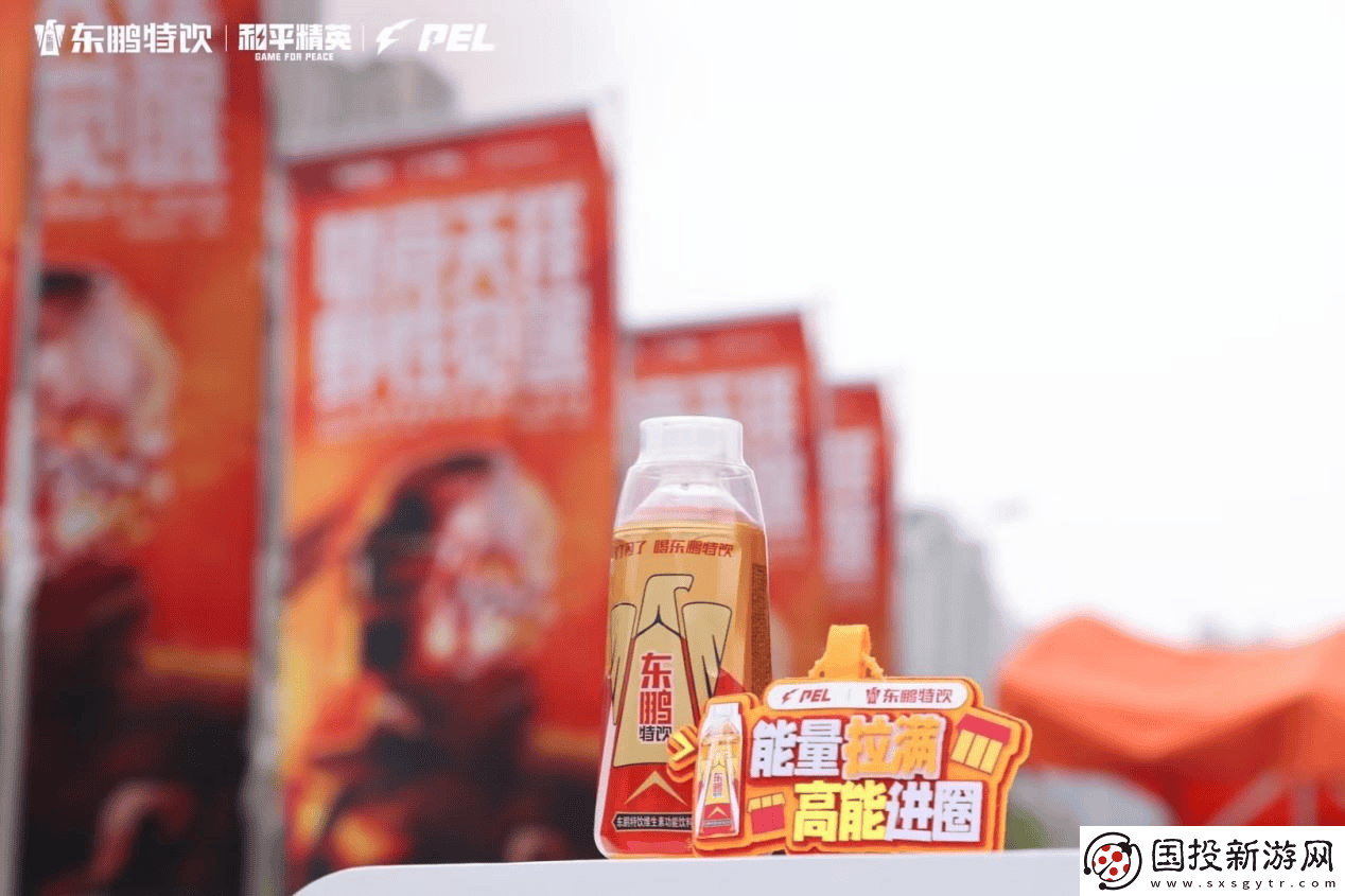 東鵬特飲游戲營銷進化論