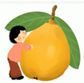 iphone私人網(wǎng)址永不失聯(lián)版